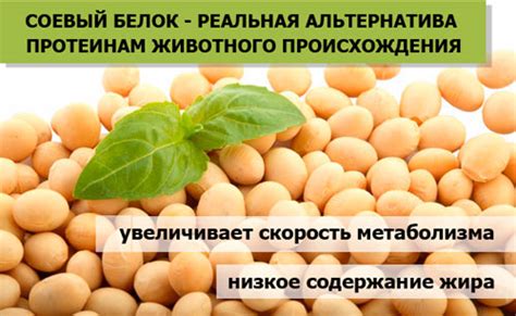 Свойства соевого протеина