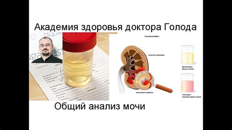 Симптомы липкой мочи и как ее определить