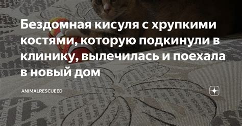 Следствия подавления костями