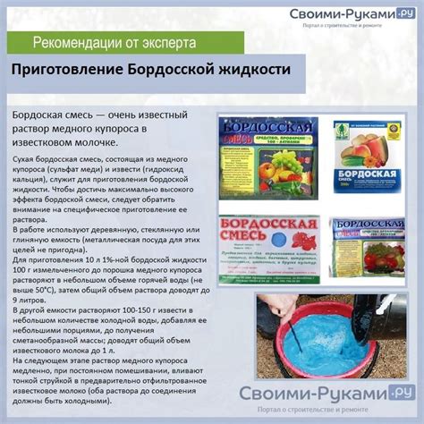 Смешивание бордосской жидкости и профилактина: эффективность и рекомендации