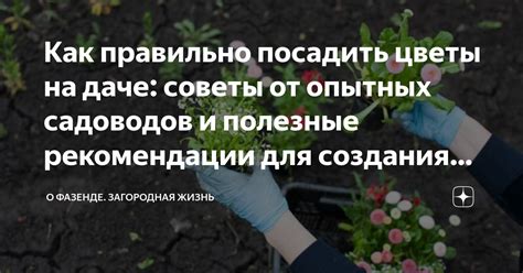 Советы и рекомендации для курящих пассажиров