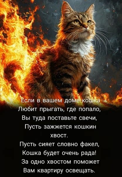Советы по использованию свечей при упокое собаки