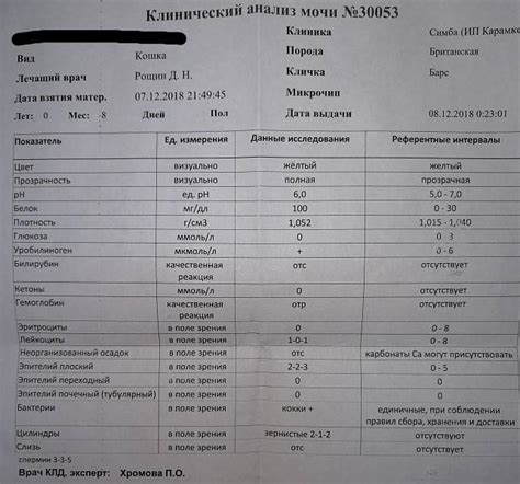 Советы по уходу при липкой моче у ребенка