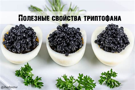 Совместное применение триптофана и афобазола: полезные свойства