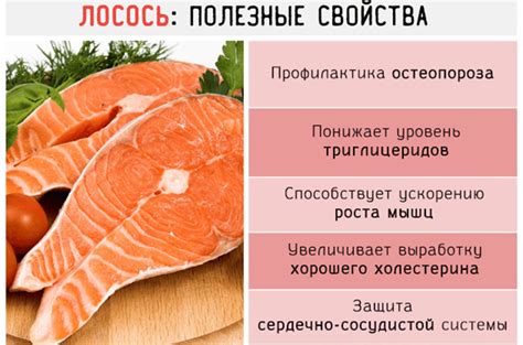 Состав горбуши и его полезные свойства