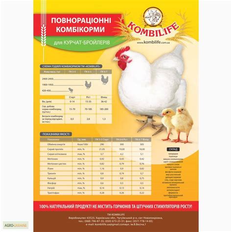 Состав корма для бройлеров и его соответствие потребностям перепелов