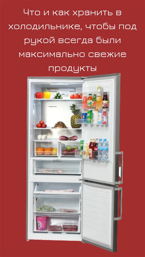 Сохранение в холодильнике: возможность и необходимость