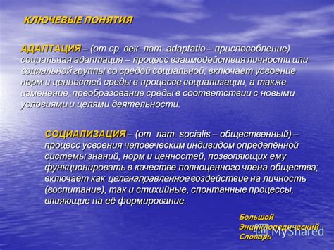 Социальная адаптация и изменение ценностей