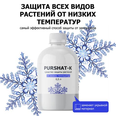 Способы защиты моркови от низких температур