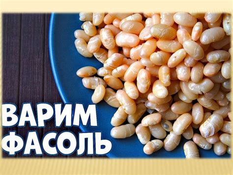 Способы определения свежести риса