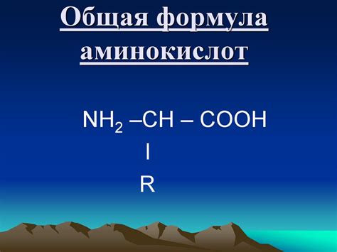 Способы употребления аминокислот и витаминов