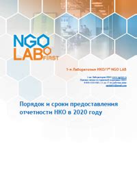 Сроки предоставления отчетности