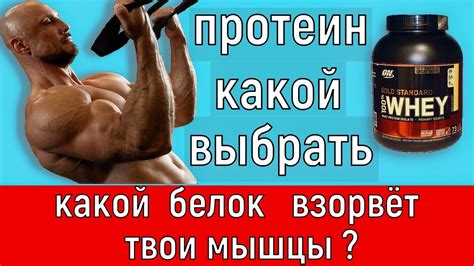 Творог в сывороточном протеине: преимущества и недостатки