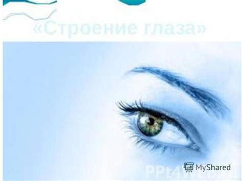 Тренировка зрительной системы