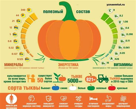 Тыква и ее полезные свойства