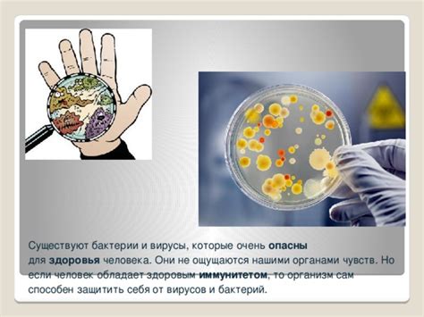 Убережение здоровья от бактерий