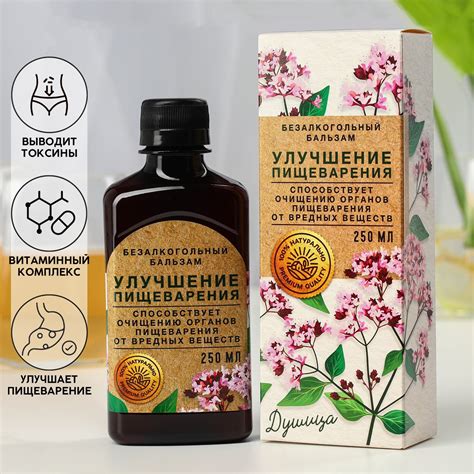 Улучшение пищеварения с помощью пюре