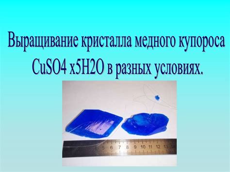 Условия, при которых применение медного купороса максимально эффективно