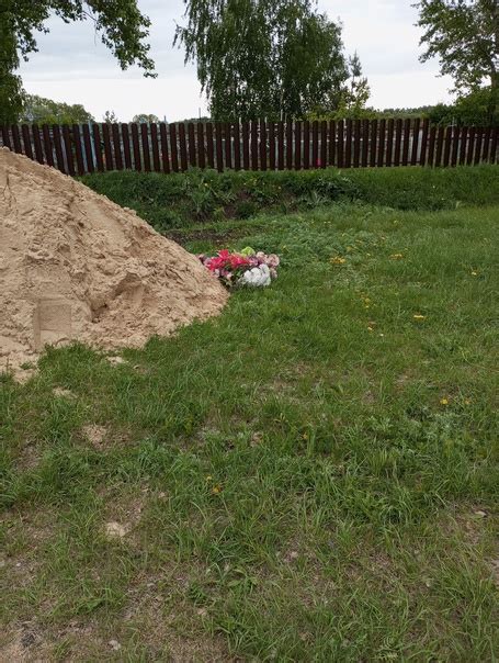 Условия разрешенного сбора отростков с кладбища