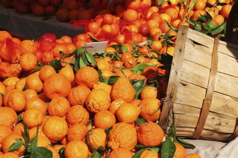 Условия хранения зеленых мандаринов