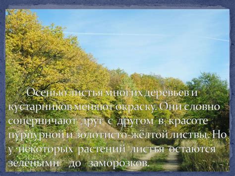 Устойчивость к зимним условиям: преимущества и недостатки обрезки