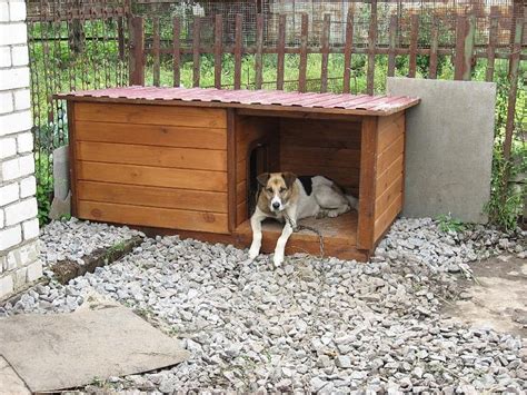 Устройство собачьей челюсти