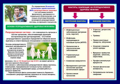 Факторы, влияющие на увеличение размера яиц