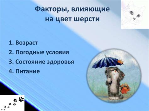 Факторы влияющие на смену шерсти у щенков