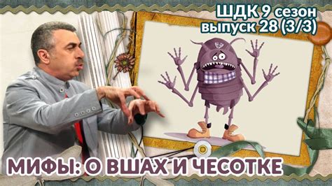Факты опровергают мифы о вшах и желтухе