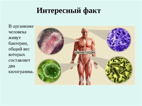 Факт 1: Бактерии на чужой подушке