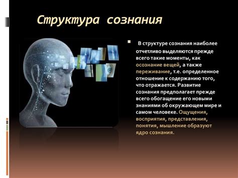 Феномен временных петель и его связь с переносом сознания