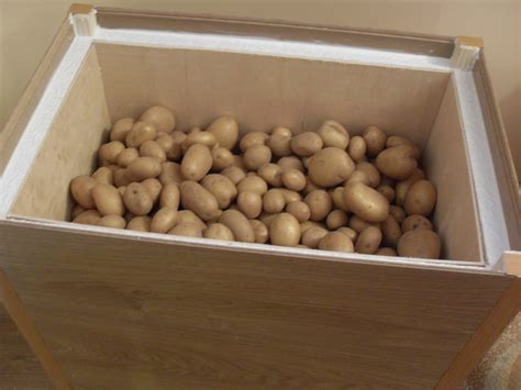 Хранение картошки в бочке: сроки и условия
