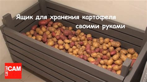 Хранение картошки в железных бочках