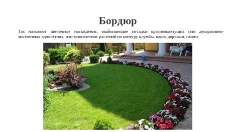 Цветочные насаждения как достояние земли