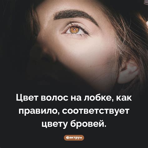 Цвет волос на лобке