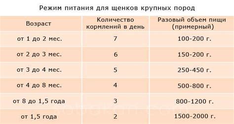 Частота кормления щенка в зависимости от его возраста