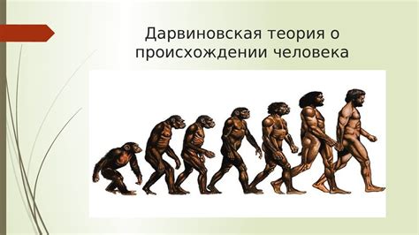 Эволюционная теория о происхождении человека
