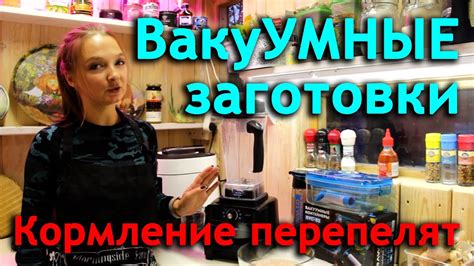 Экономичный способ кормления