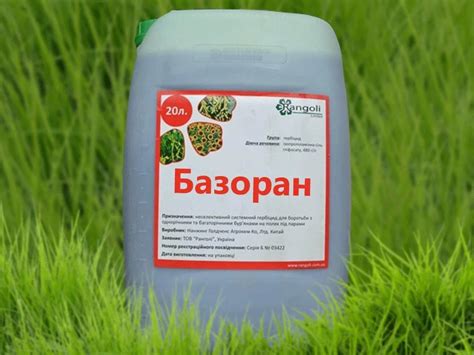 Эффективные средства борьбы с сороконожками