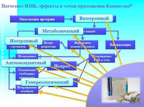 Эффекты и преимущества Кавинтона и Бетасерка