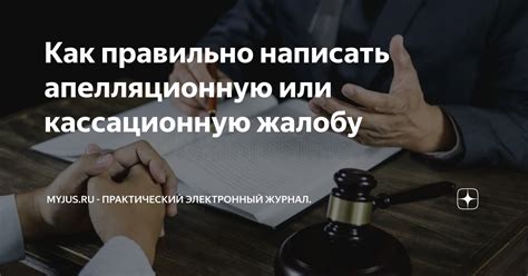  Как правильно подать апелляционную жалобу 